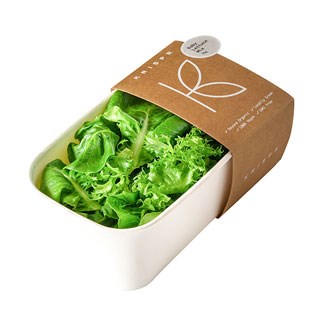 Baby Lettuce Mix