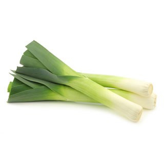 Leek