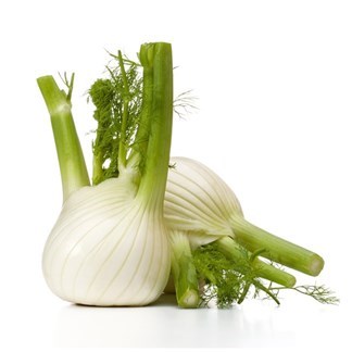 Fennel