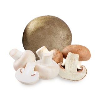 3-in-1 Combo Mushroom