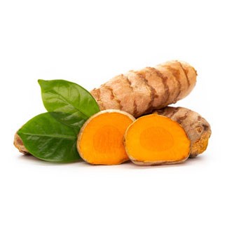 Turmeric Fresh India