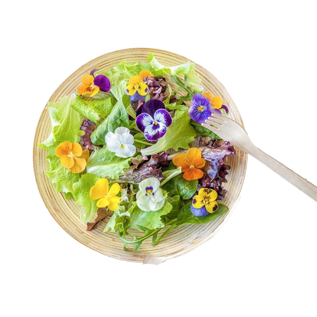 Edible Flowers