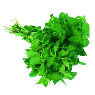 Basil